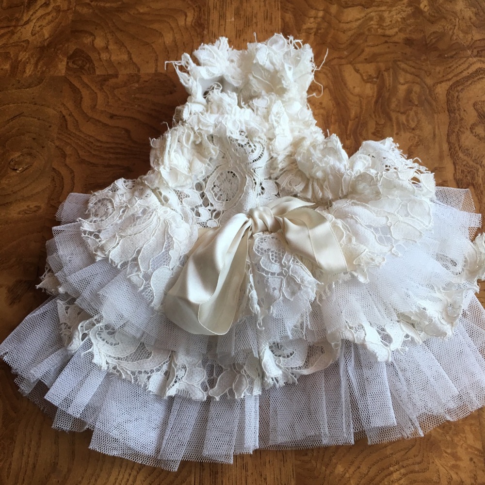 White Lace Puppy Tiny Dog Dress!